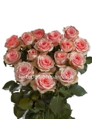 Mazzo di 5 Rose colore rosa