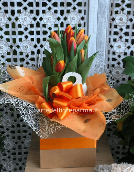 Tulipani con bulbo in ecobox