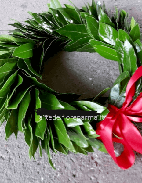 Coroncina laurea